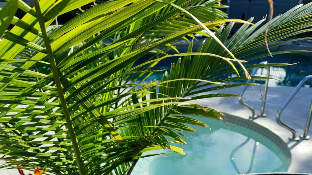 Noosa River Retreat