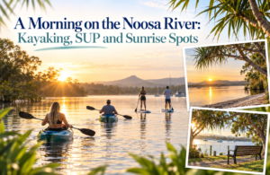A Morning On The Noosa River, Kayaking, Sup And Sunrise Spots